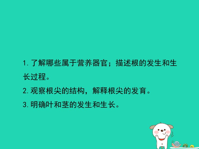 七年级生物上册3.6.2《营养器官的生长》课件4（新版）北师大版.pptx_第2页