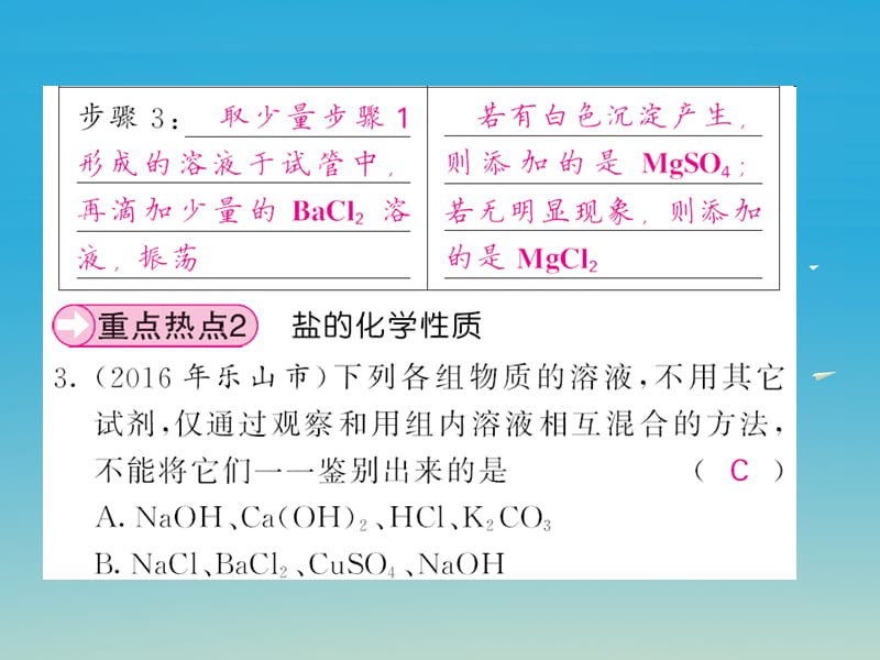 九年级化学下册第11单元盐化肥重点热点专练与易错易混专攻课件（新版）新人教版.pptx_第3页