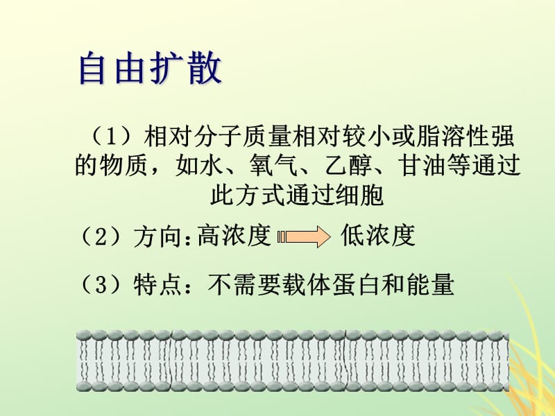 2019高中生物专题4.3物质的跨膜运输的方式同步课件新人教版.pptx_第2页