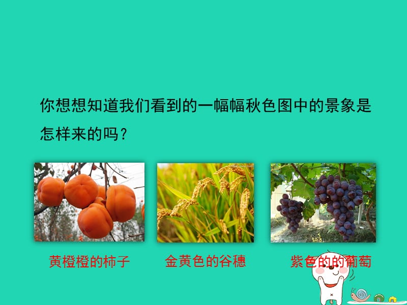 八年级生物上册4.1.3《果实和种子的形成》课件（新版）济南版.pptx_第1页