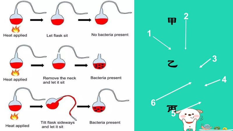 七年级生物下册6.1.2《细菌》课件1鲁科版五四制.pptx_第2页