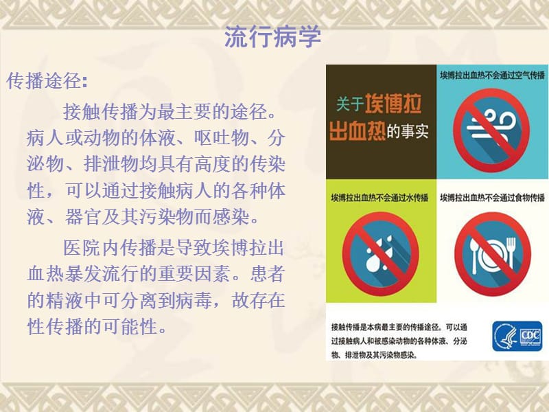 埃博拉出血热医院感染预防与控制.ppt_第2页