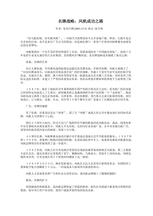 名牌战略：风帆成功之路.doc