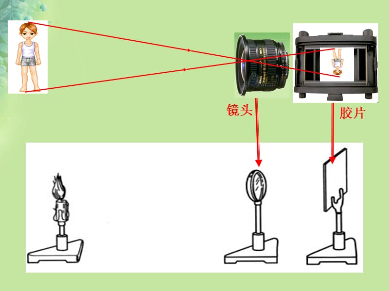 八年级物理4.4《照相机与眼睛视力矫正》课件苏科版.pptx_第1页