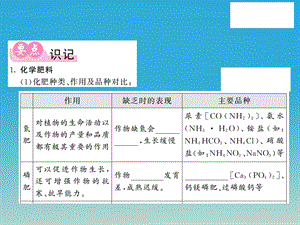 九年级化学下册第11单元化学与社会发展第3节化学与农业生产课件（新版）鲁教版.pptx