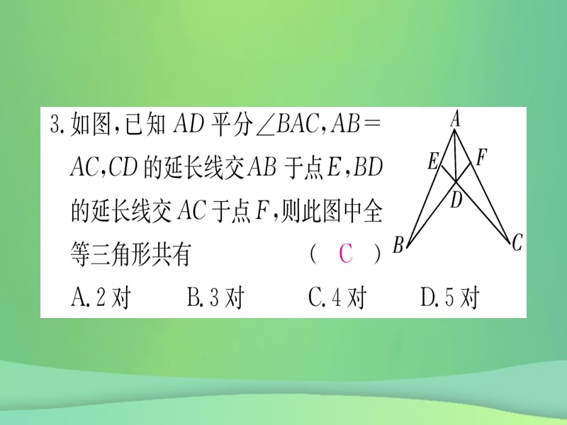 八年级数学 全等三角形江西常考命题点突破作业课件 新人教版.pptx_第3页