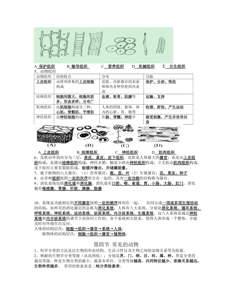 七年级上册科学第二章-观察生物-知识点名师制作优质教学资料.doc_第3页