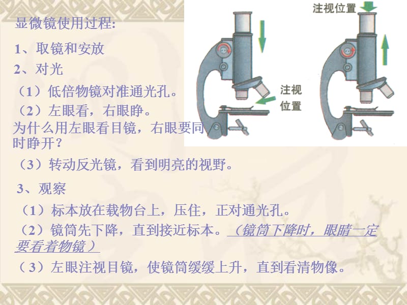 _练习使用显微镜课件.ppt_第2页