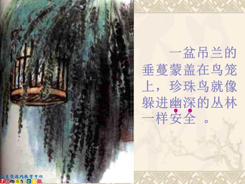 《珍珠鸟》教学课件_499.ppt_第2页