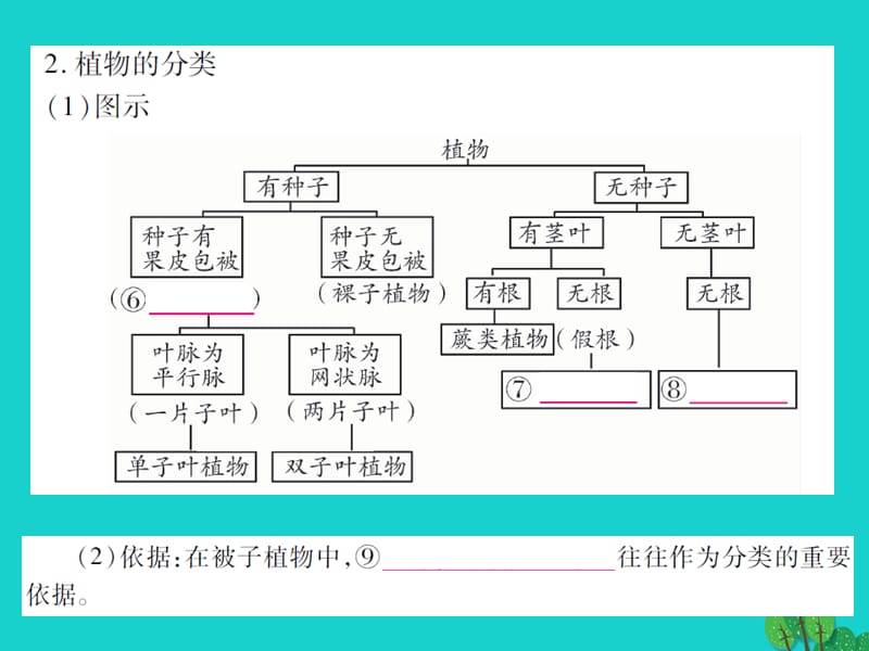 中考生物总复习第6单元生物的多样性及其保护课件新人教版.pptx_第2页