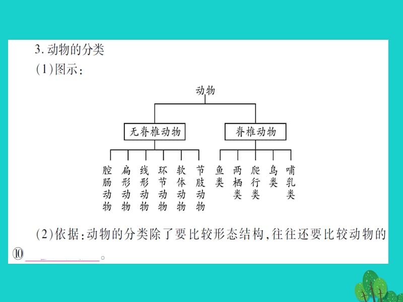 中考生物总复习第6单元生物的多样性及其保护课件新人教版.pptx_第3页