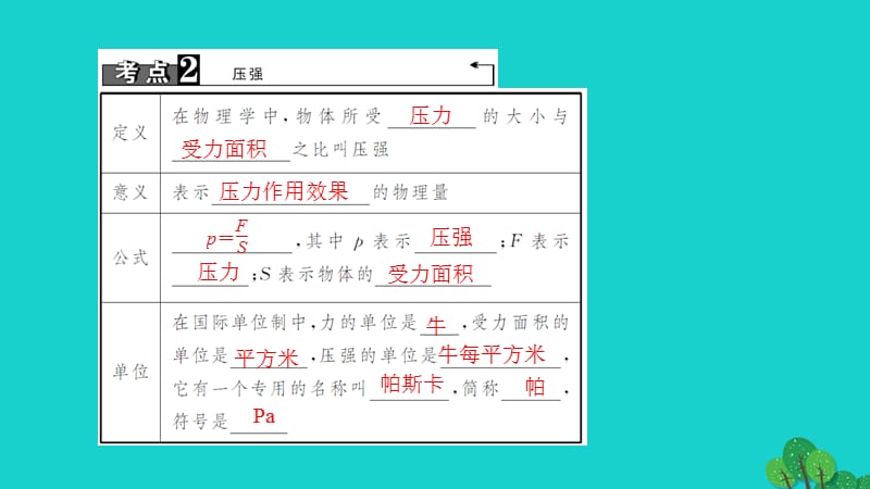 中考物理总复习第九讲压强课件.pptx_第2页