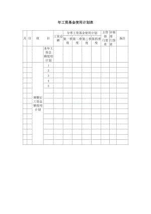 年工资基金使用计划表（制度范本、doc格式）.doc