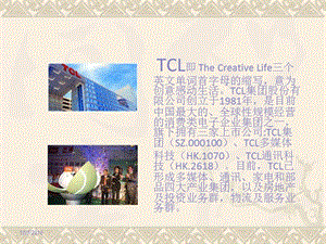 TCL财务分析之资产负债表分析2012.ppt