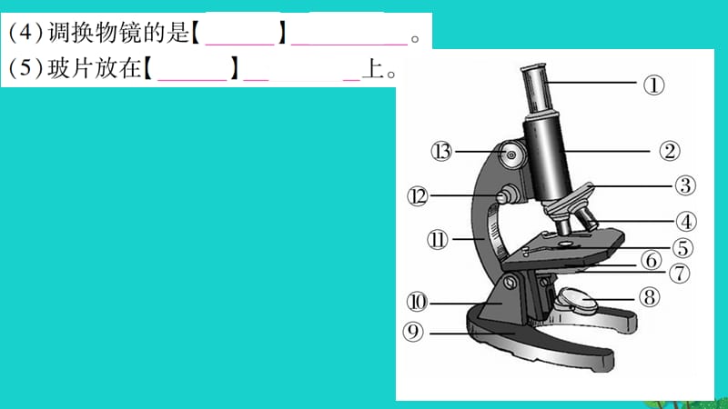 中考生物总复习第2单元生命体的结构课件北师大版.pptx_第2页