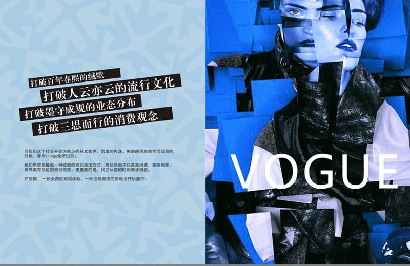 成都春熙village招商手册.ppt_第2页