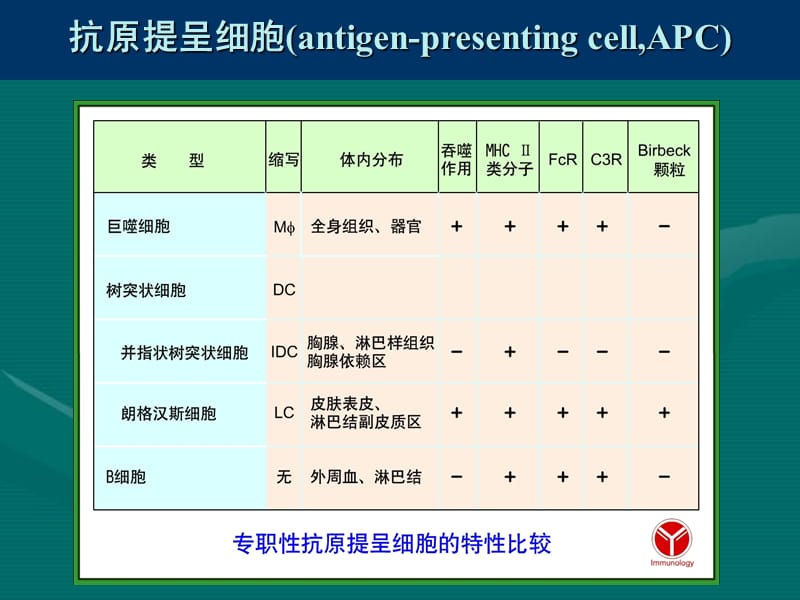 11_抗原提呈细胞与抗原的处理及提呈.ppt_第2页