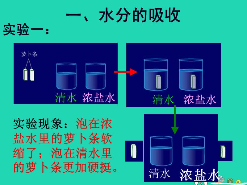 七年级生物上册3.5.3《吸收作用》课件2（新版）北师大版.pptx_第1页