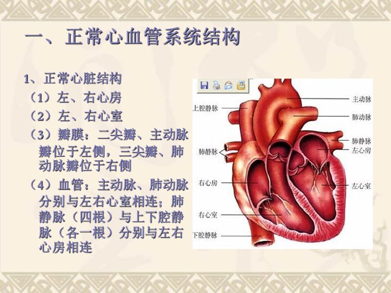 常见先天性心脏病.ppt_第1页