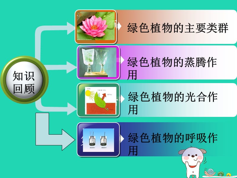 七年级生物上册2.1.5《绿色植物在生物圈中的作用》课件2（新版）济南版.pptx_第1页