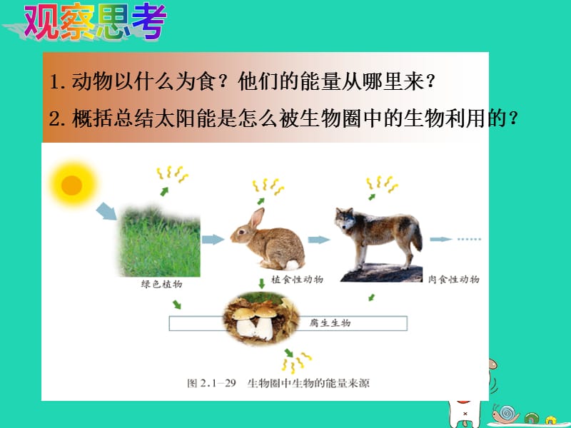 七年级生物上册2.1.5《绿色植物在生物圈中的作用》课件2（新版）济南版.pptx_第2页