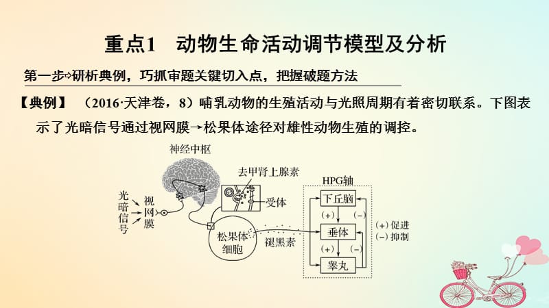 2019版高考生物大一轮复习第八单元生命活动的调节补上一课5含实验素养提升5课件.pptx_第2页