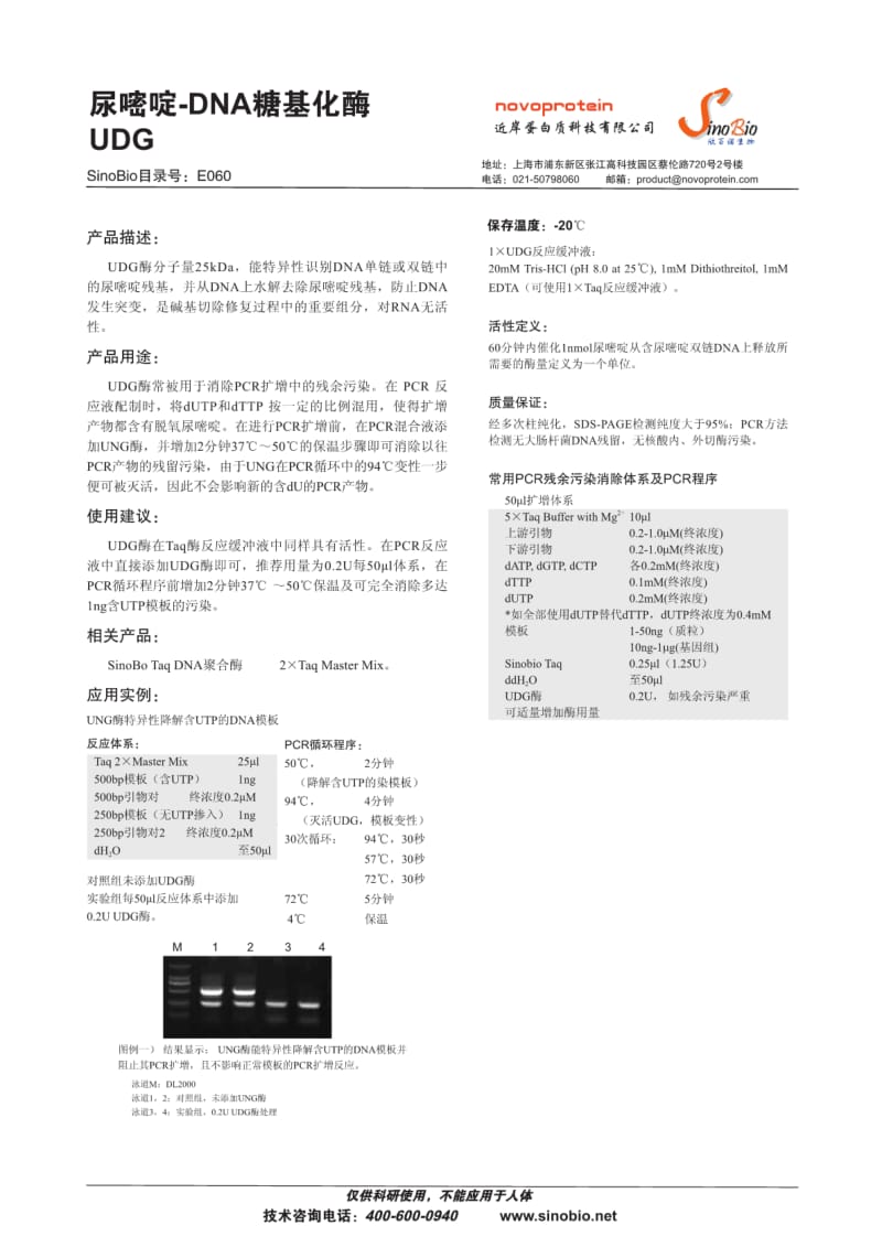 尿嘧啶-DNA糖基化酶UDG.pdf_第1页