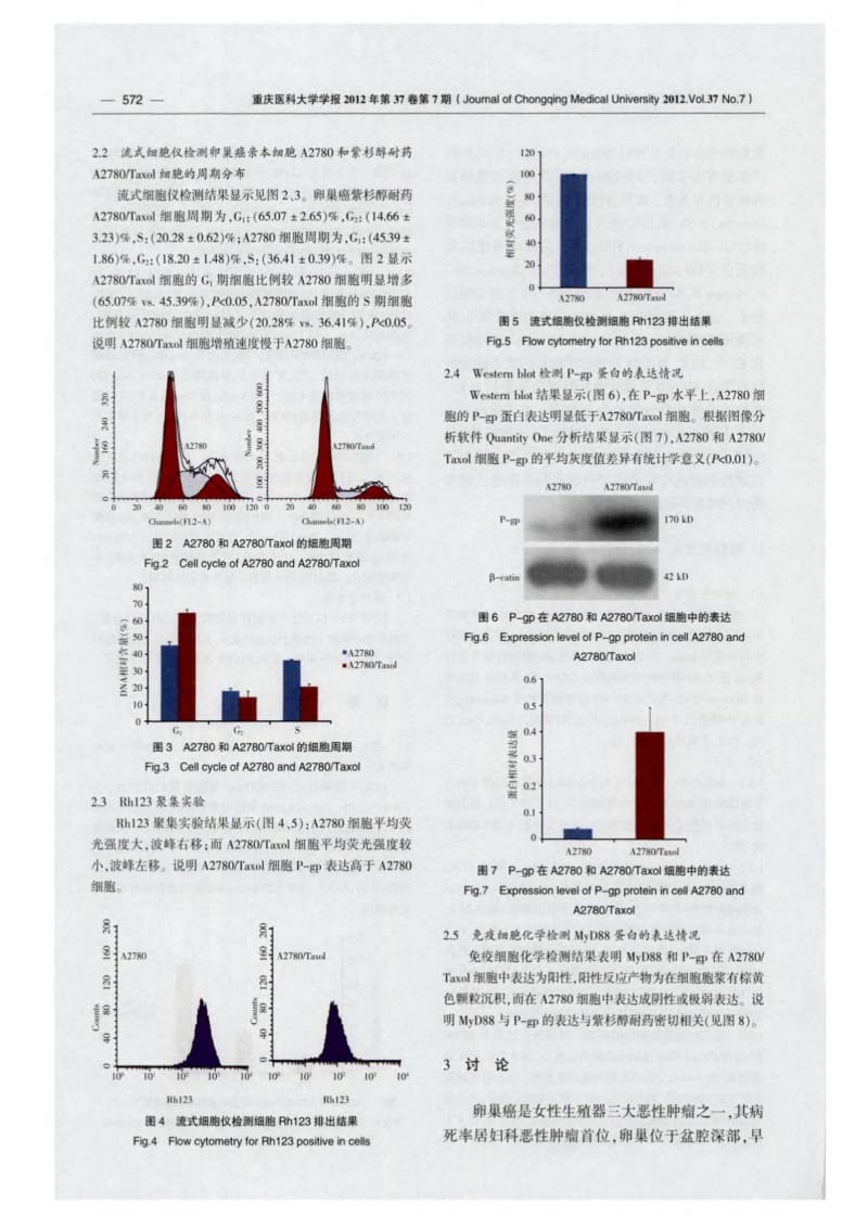卵巢癌紫杉醇耐药细胞耐药性和髓样分化因子88关系的研究.pdf_第3页