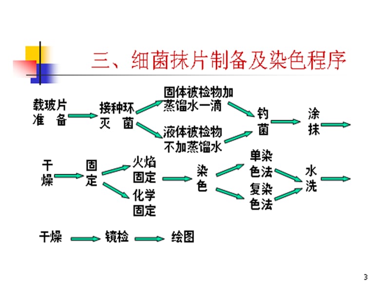 实验细菌抹片的制备及染色名师编辑PPT课件.ppt_第3页