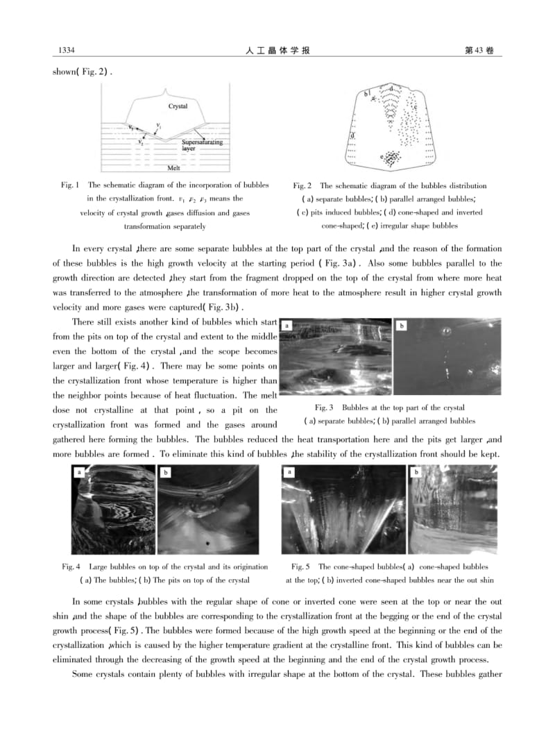 泡生法生长蓝宝石晶体中的气泡分布(英文).pdf_第3页