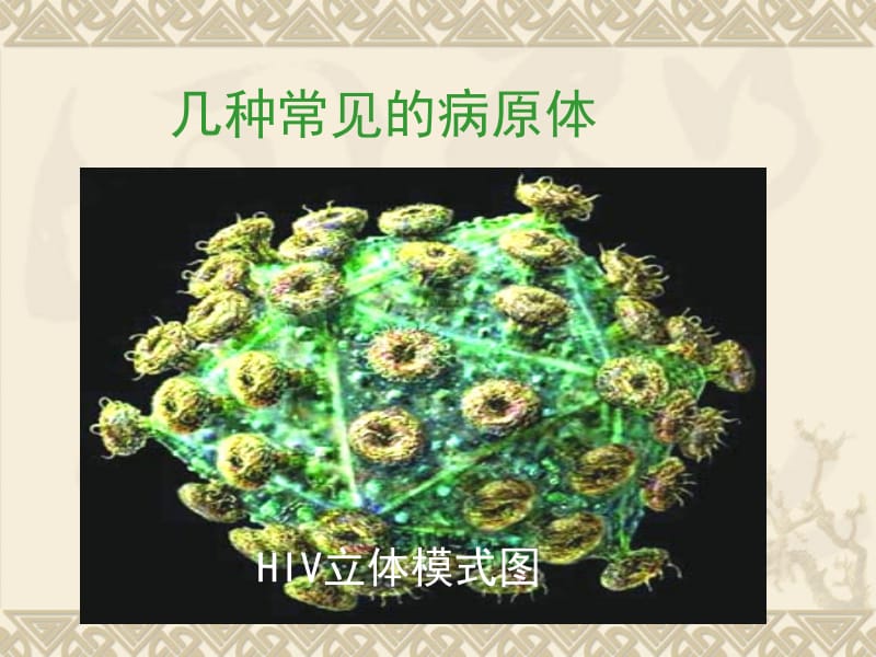 传染病预防名师编辑PPT课件.ppt_第2页