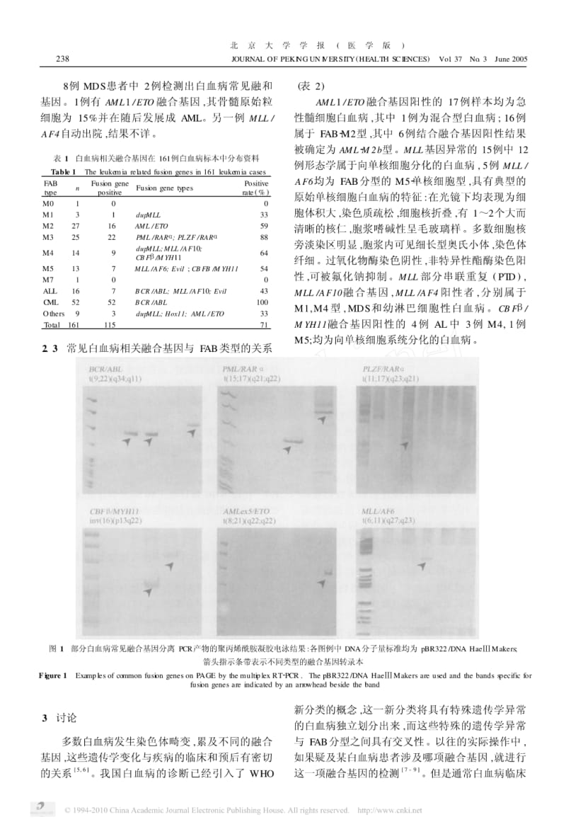 常见白血病融合基因筛查在白血病诊断与分型中的意义.pdf_第3页