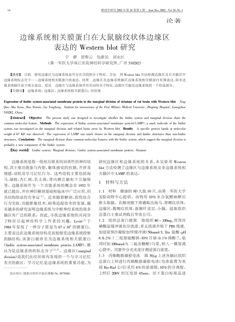 边缘系统相关膜蛋白在大鼠脑纹状体边缘区表达的Westernblot研究.pdf_第1页