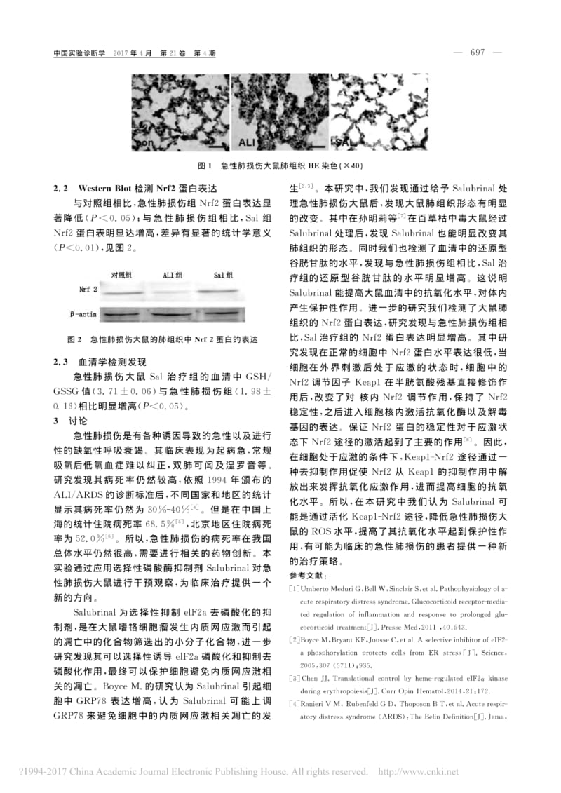 内质网应激诱导剂Salubrinal在大鼠急性肺损伤的作用机制的研究.pdf_第2页