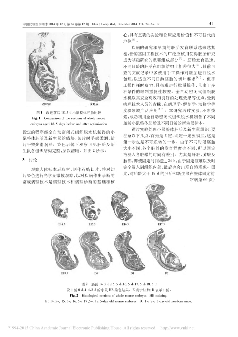 小鼠整体胚胎和新生鼠石蜡切片技术的改进.pdf_第3页