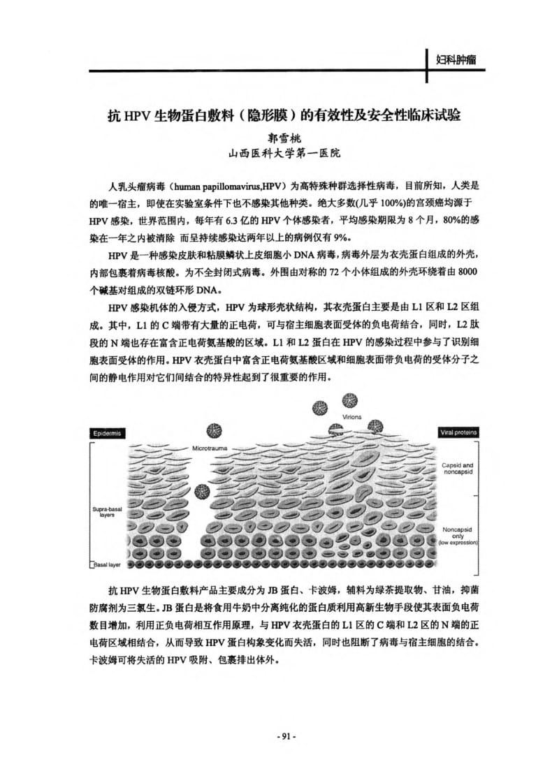 抗HPV生物蛋白敷料隐形膜的有效性及安全性临床试验.pdf_第1页