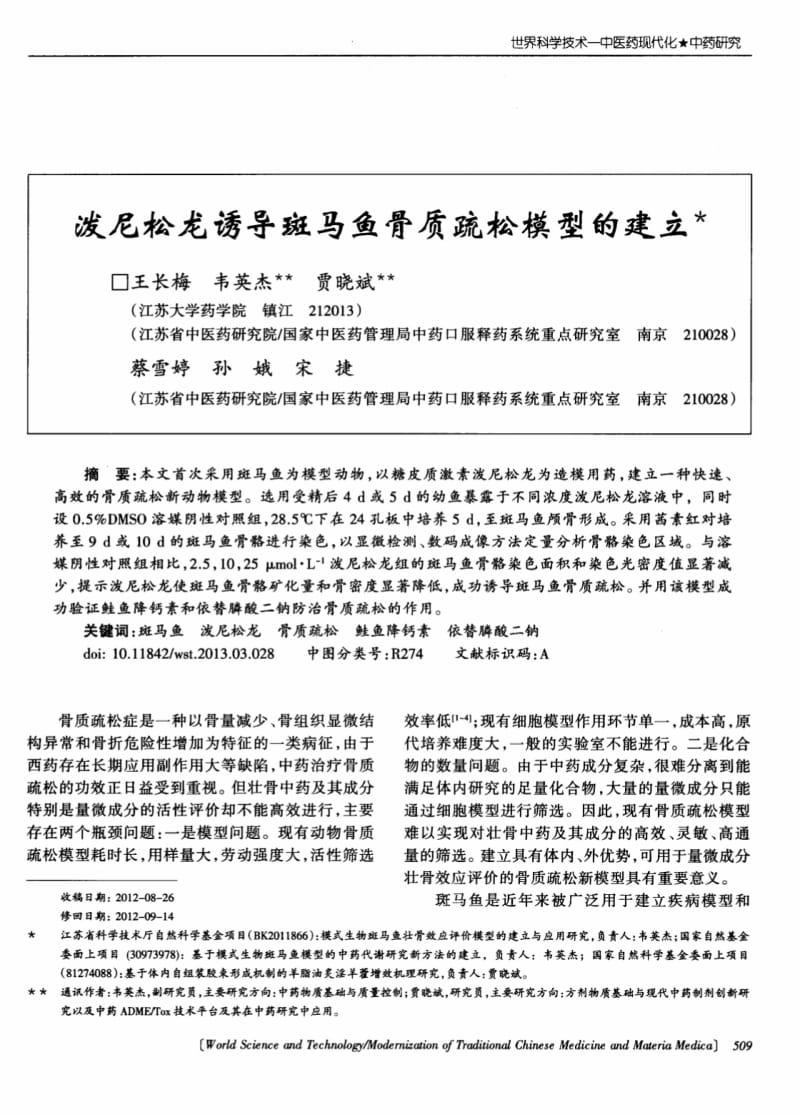 泼尼松龙诱导斑马鱼骨质疏松模型的建立.pdf_第1页