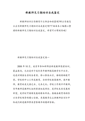 新教师见习期培训自我鉴定.doc