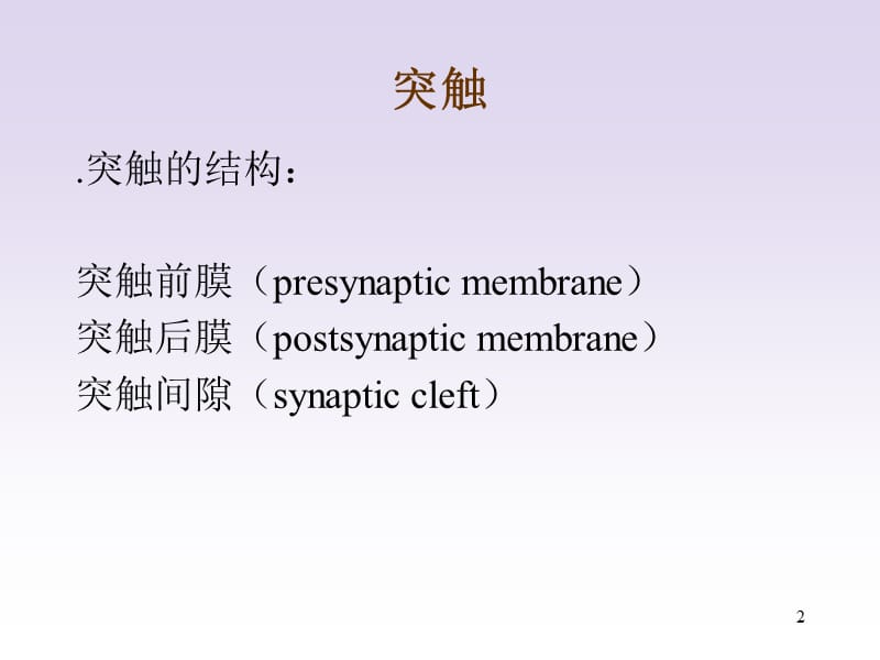 神经系统信息传导与疾病名师编辑PPT课件.ppt_第2页