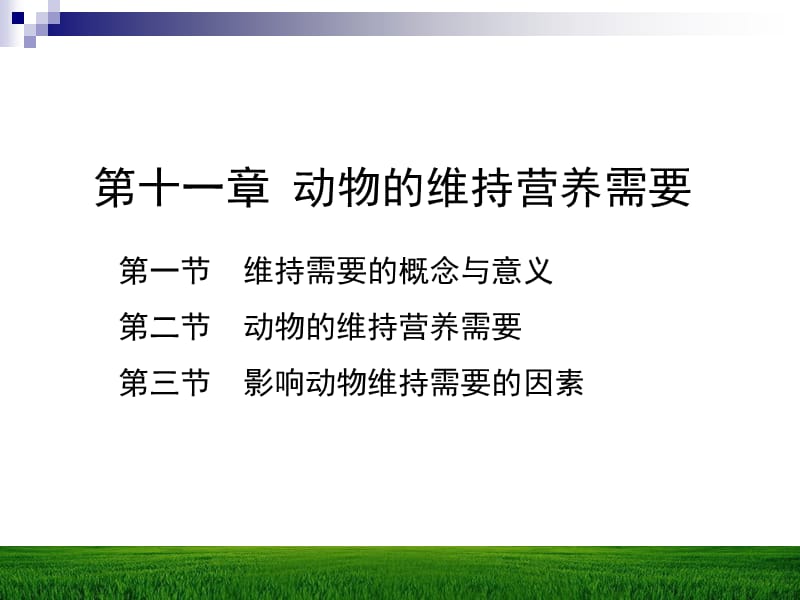 第十一章动物的维持营养需要名师编辑PPT课件.ppt_第1页