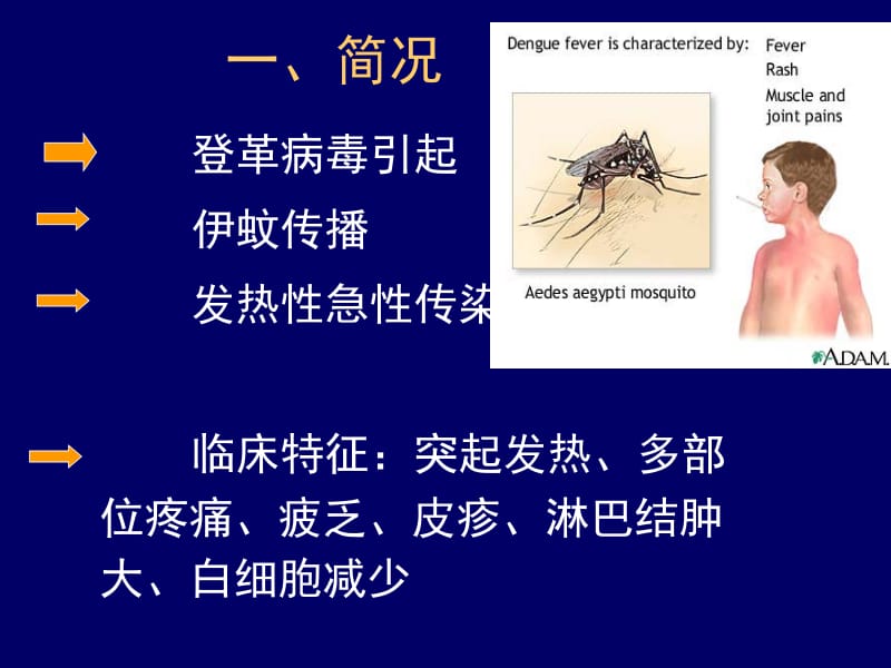 登革热DengueFever中山三院传染病教研室名师编辑PPT课件.ppt_第2页