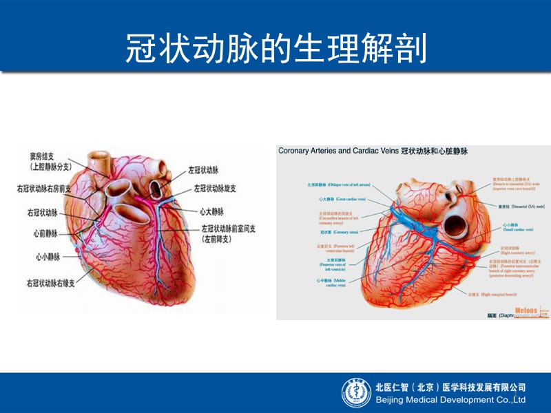 冠心病基础知识名师编辑PPT课件.ppt_第1页