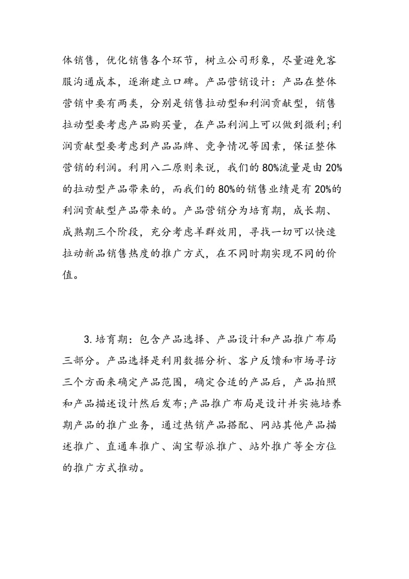 电商运营工作总结_电商运营个人总结报告.doc_第2页