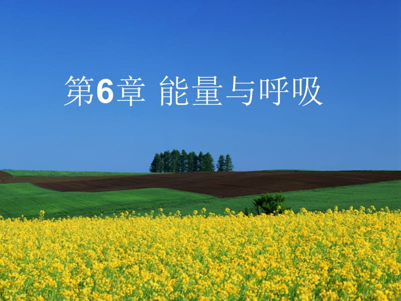 第6章能量与呼吸名师编辑PPT课件.ppt_第1页