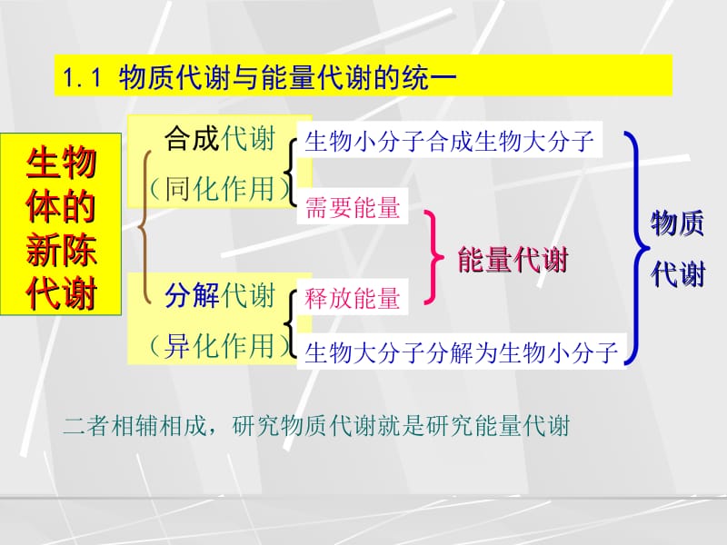 第二篇物质代谢及其调节名师编辑PPT课件.ppt_第3页