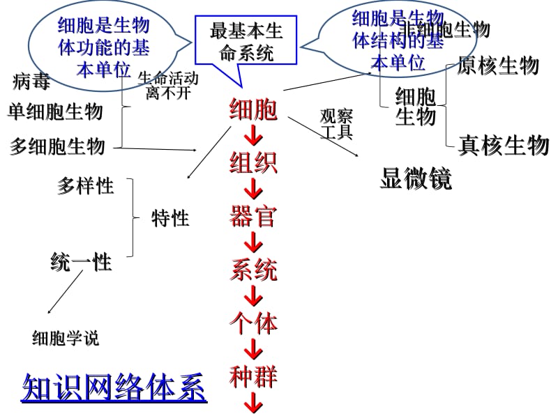 第一讲走近细胞教学课件名师编辑PPT课件.ppt_第3页