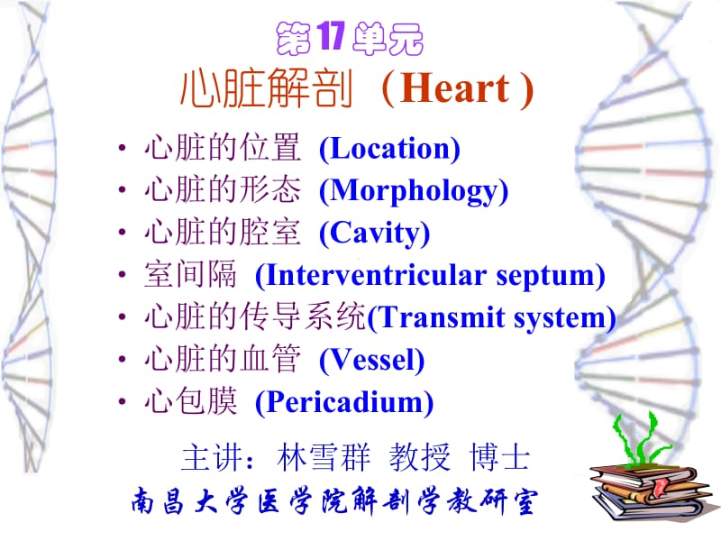 第十七单元心脏解剖名师编辑PPT课件.ppt_第1页