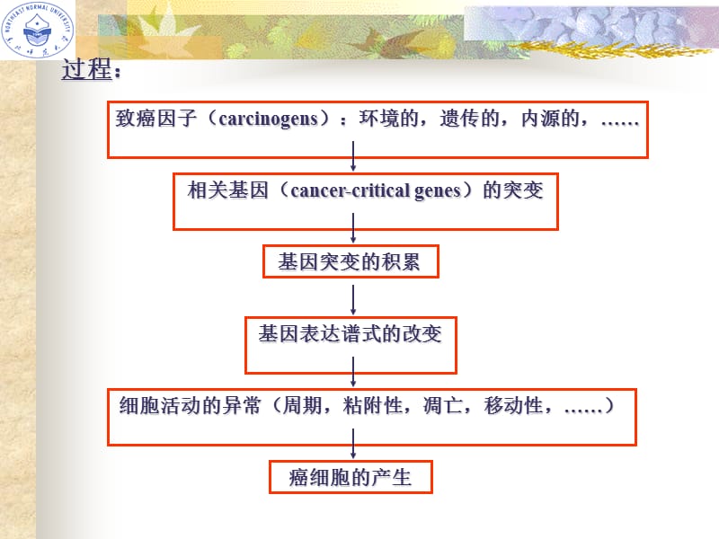 第二节癌细胞名师编辑PPT课件.ppt_第2页