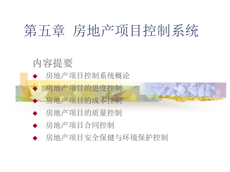 第五部分房地产项目控制系统教学课件名师编辑PPT课件.ppt_第1页