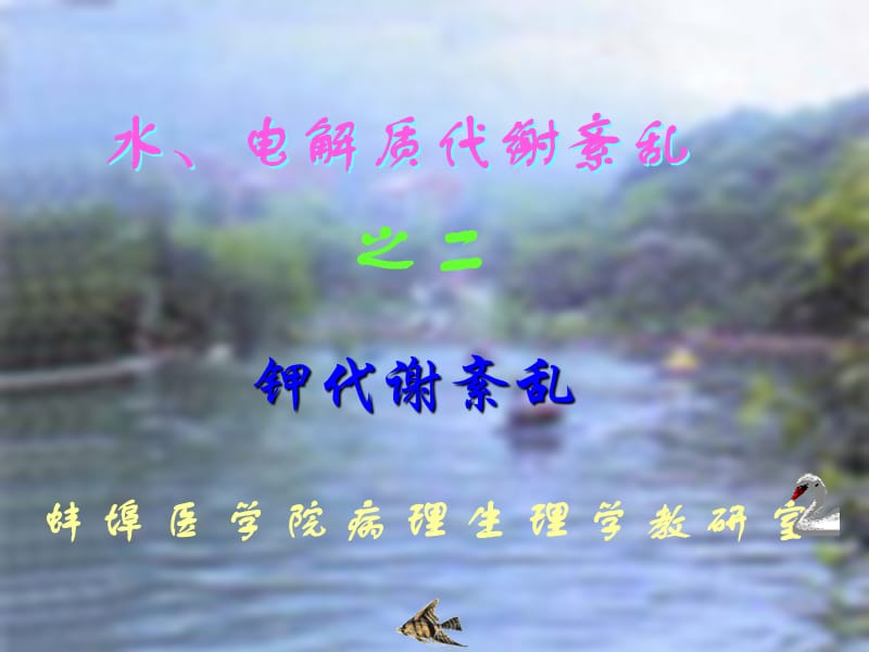 第三章水电解质代谢紊乱钾名师编辑PPT课件.ppt_第1页